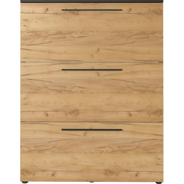 Ebern Designs Wildomar 12 Pair Shoe Storage Wayfair.co.uk